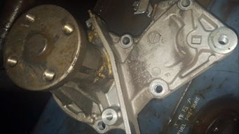 长安福特翼虎发动机异响 水泵轴承损坏的成因与处理建议